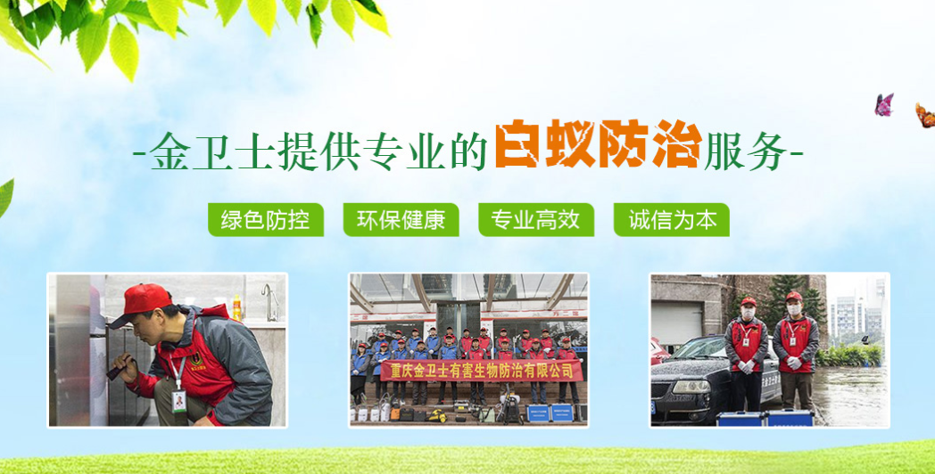 丑陋的蟑螂看起來很可怕。如何解決這種情況？