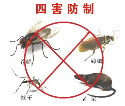 床墊易滋生吸血臭蟲，怎樣預防呢？